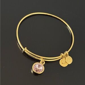 Alex and Ani Bracelet, June Birthstone, Light Amethyst